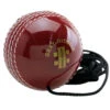 Gray Nicolls Batting Master Ball -Sports General Store 10804BattingMaster 1000x1000 3b21f7f5 b97d 475e a55d 2c0a66902c7d