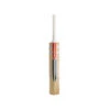 Gray Nicolls Mini Bat -Sports General Store 11025MiniBat labelled 1000x1000 3e0713ad da8a 4842 a600 3dc5d772a09d