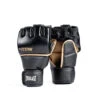 Everlast Titan MMA Grappling Glove -Sports General Store 141389 Everlast 20Titan 20Grappling 20Glove 1 web