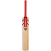 Gray-Nicolls Select Bat -Sports General Store 27160 Gray NicollsSelectBat 4