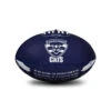 Sherrin AFL All Surface Synthetic Song Size #2 - Geelong Cats -Sports General Store 4273 GEE AFL Team Song 2020 S2 2020 web