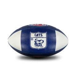Sherrin 1st 18 Cats Ball