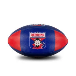 Sherrin 1st 18 Demons Ball