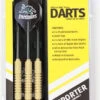NRL Panthers Darts -Sports General Store DART.NRLPANT 1000x1000 cf093e93 5c69 4590 89ab a7fba1d68360