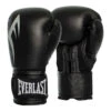Everlast Pro Style Power Boxing Glove 2 Everlast Pro Style Power Boxing Glove -Sports General Store DWEQ141143 EverlastProStyleBoxingGloves web