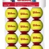 Wilson Starter Red 12 Pack -Sports General Store WRT137100 0 12ball Starter Red Transition 1000x1000 73001098 22d6 456a a34b 04685f12b67d
